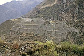 Ollantaytambo, the archeological complex, the great ramp of the fortress